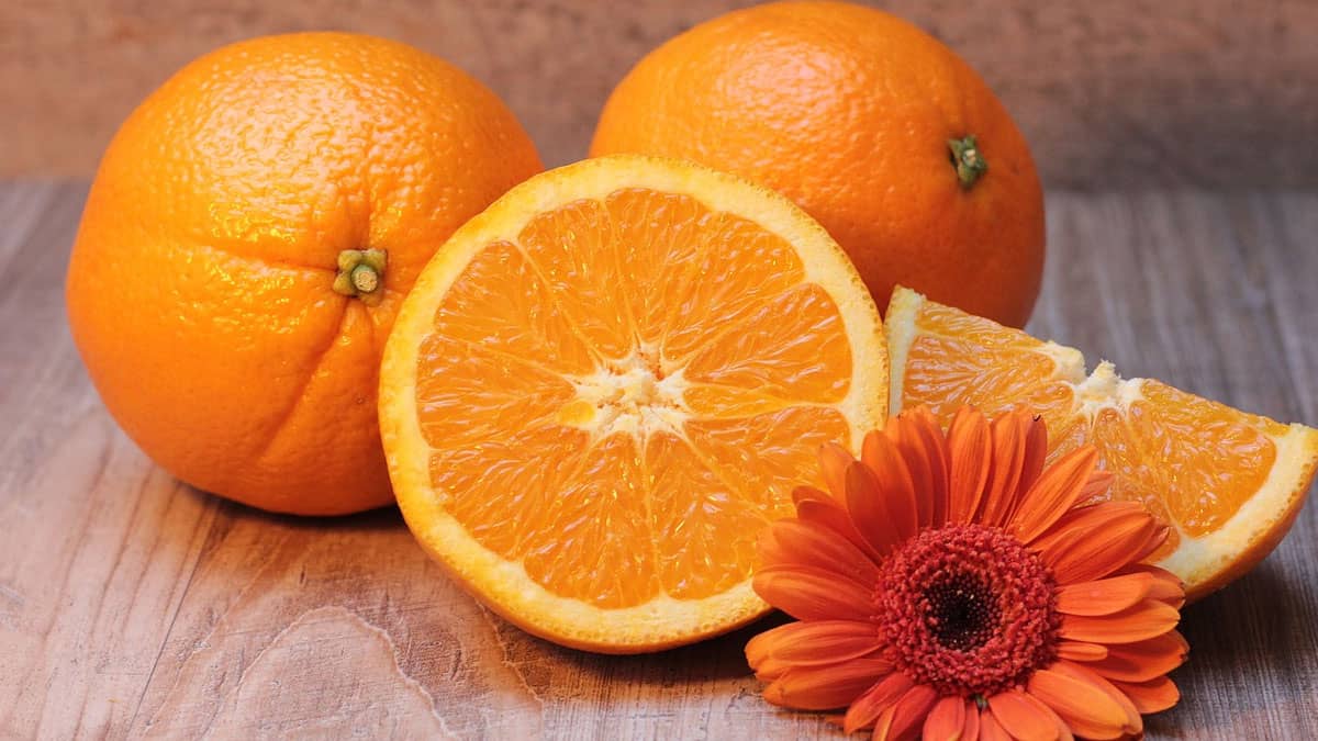 Buah jeruk, buah yang harus dihindari pemilik golongan darah O